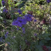 Gemeinsames singen macht glücklich!